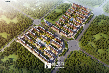 光明园经典两室一楼带院速来抢购，
